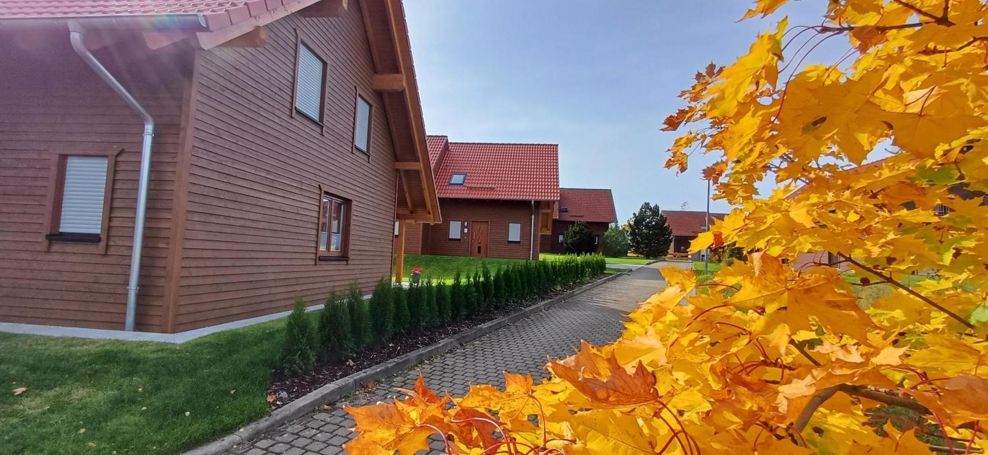 Premiumferienhaus Bhakti Hasselfelde Exterior photo